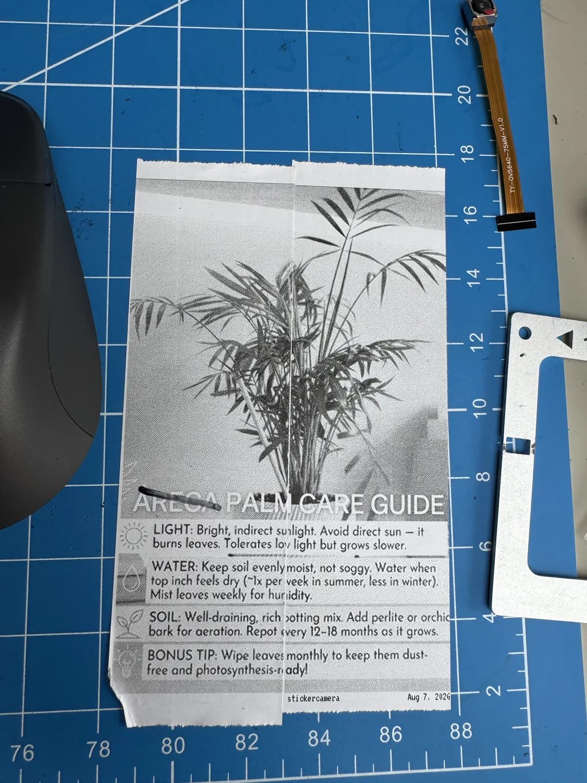 Printed care guide placed beside a houseplant photo